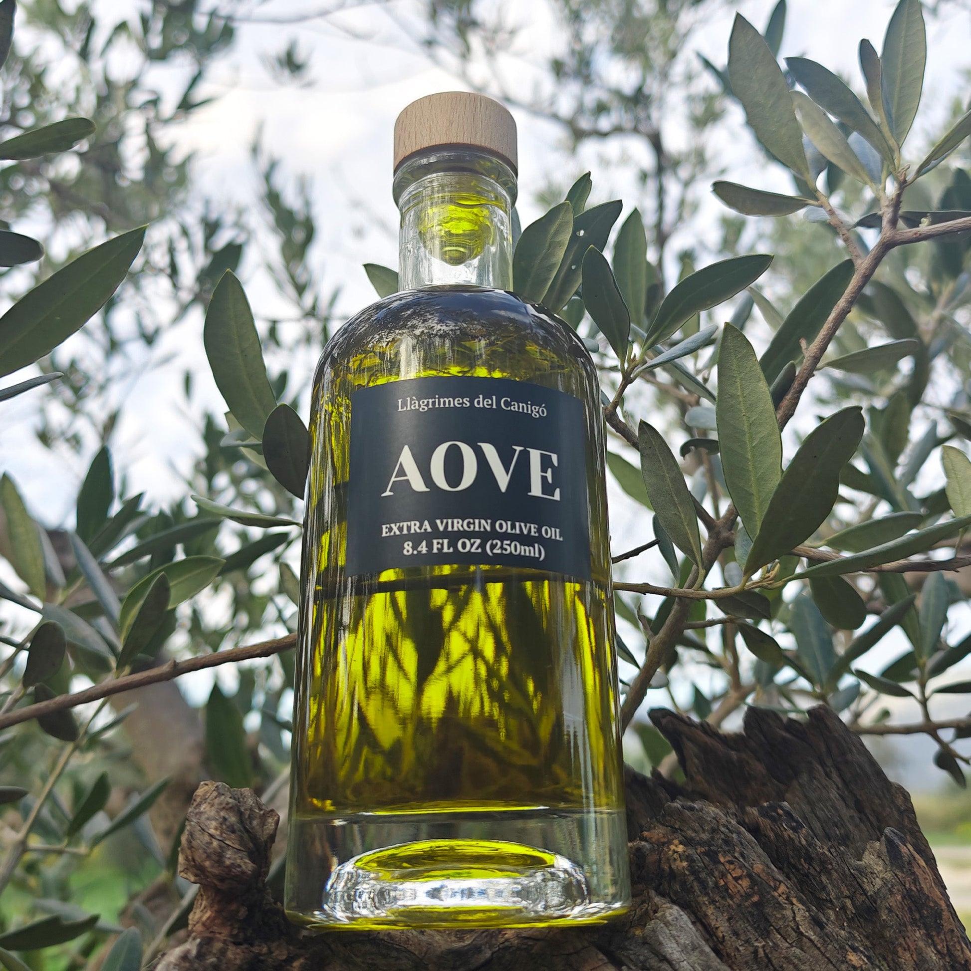Premium Extra Virgin Olive Oil (EVOO) 250ml – Cold-Pressed Mediterranean Olive Oil from Spain - Llàgrimes del Canigó-2