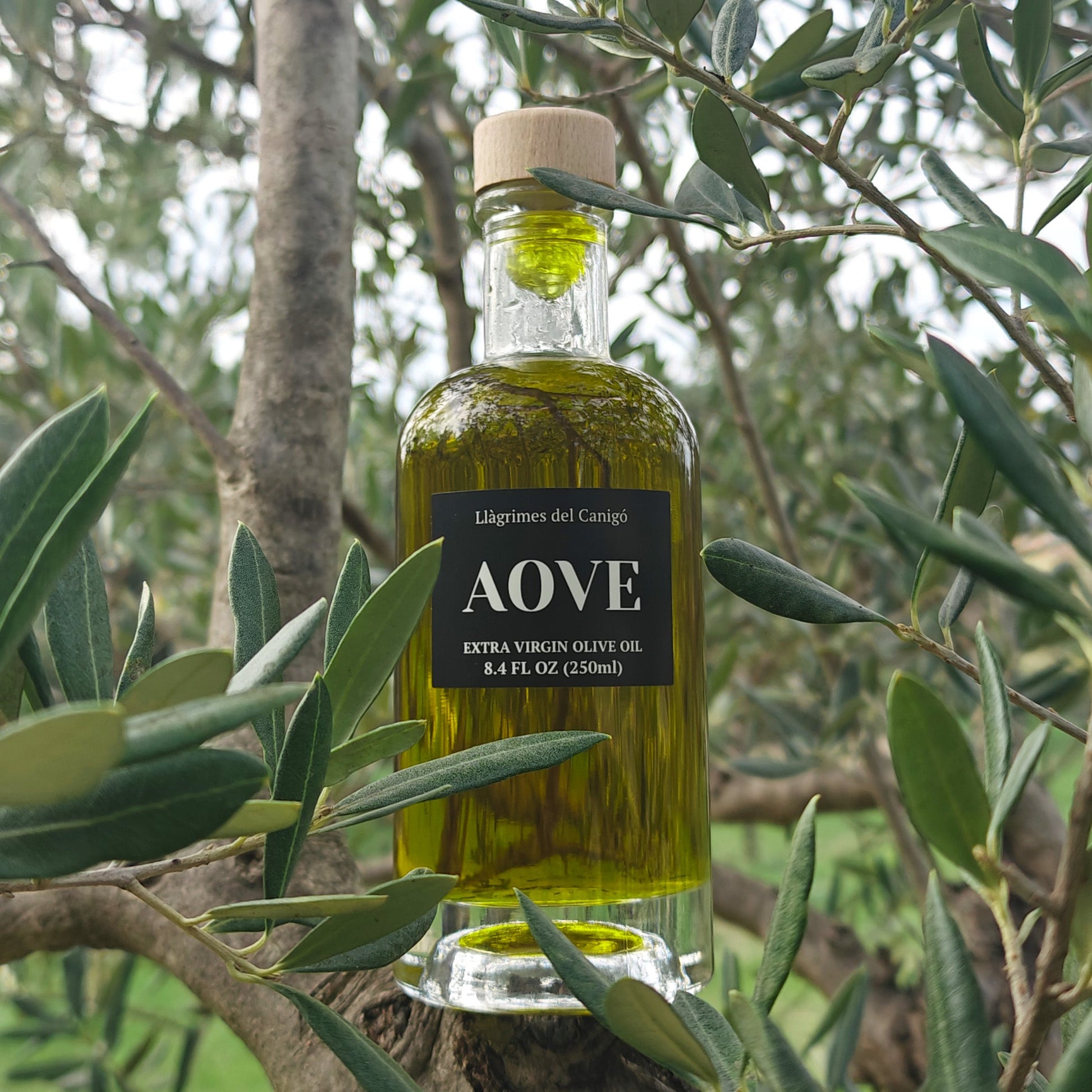 Premium Extra Virgin Olive Oil (EVOO) 250ml – Cold-Pressed Mediterranean Olive Oil from Spain - Llàgrimes del Canigó-1