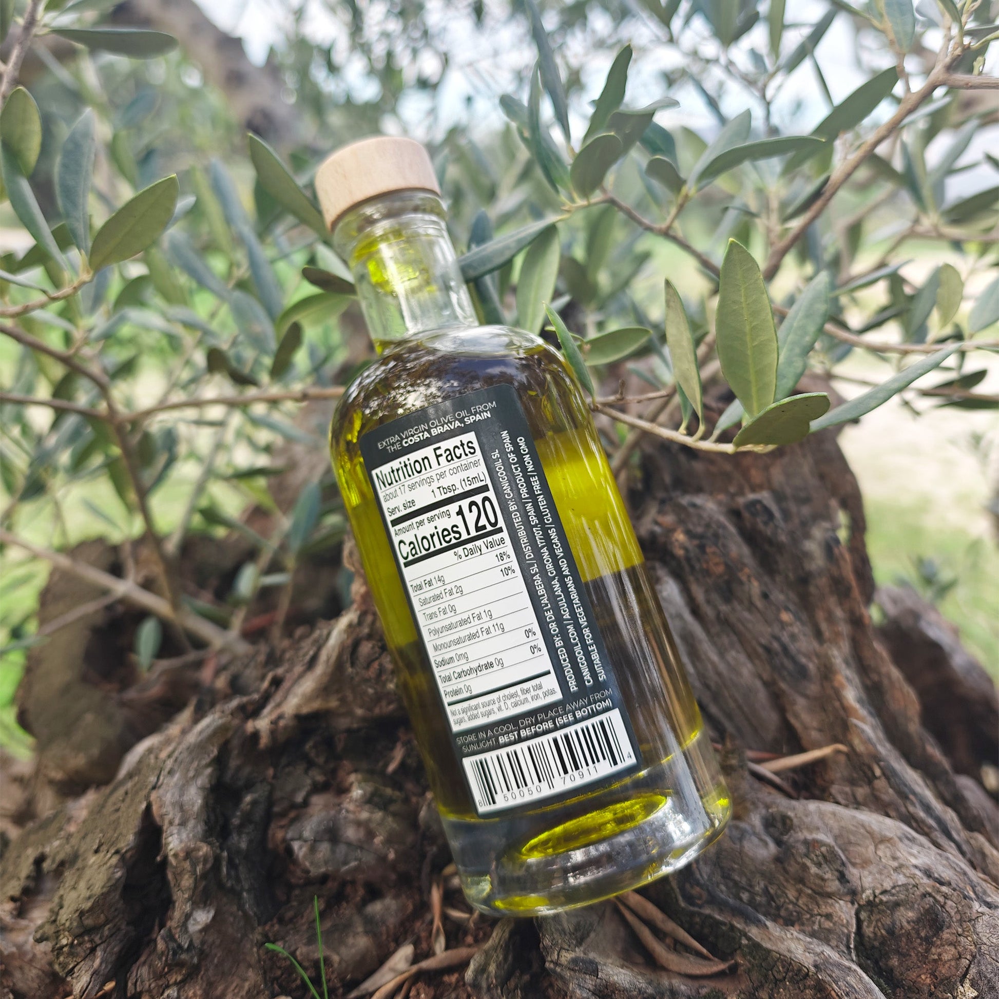 Premium Extra Virgin Olive Oil (EVOO) 250ml – Cold-Pressed Mediterranean Olive Oil from Spain - Llàgrimes del Canigó-3