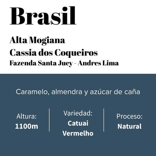 Café especial de la casa - Alta Mogiana - Fazenda Santa Jucy-0