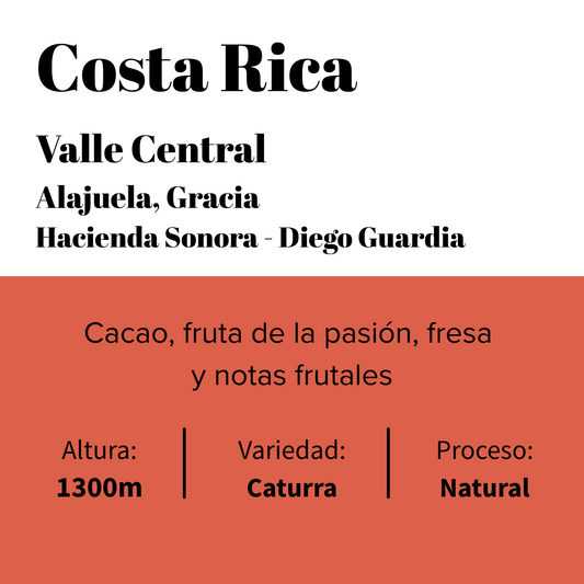 Costa Rica - Valle Central - Hacienda Sonora – Caturra Natural-0