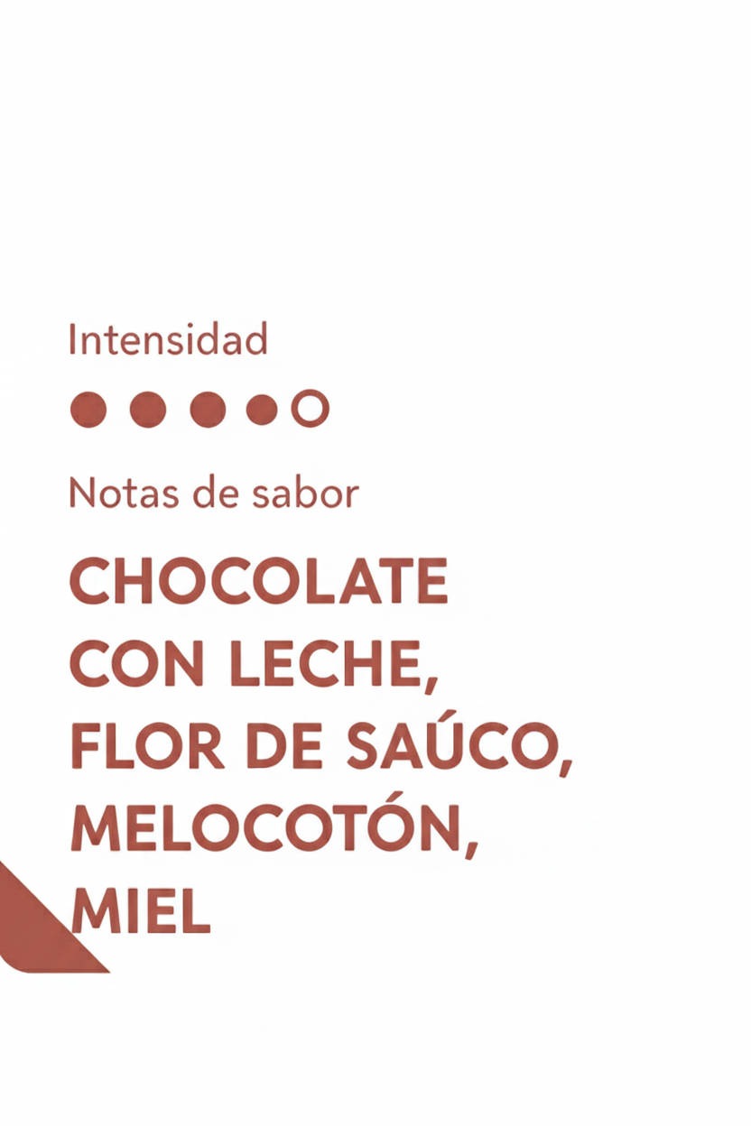 CAFETERA EN BOLSA ESPECIAL GUATEMALA