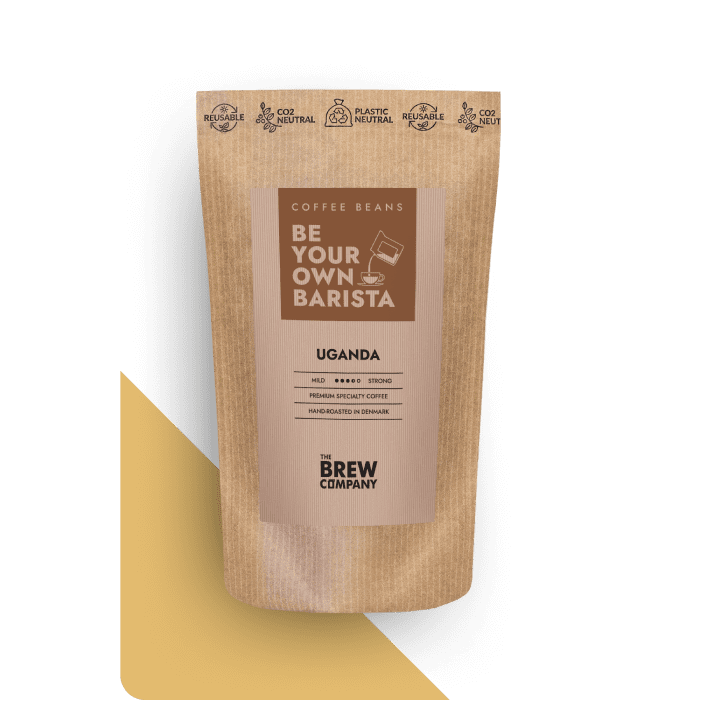 GRANO DE CAFÉ ESPECIAL UGANDA
